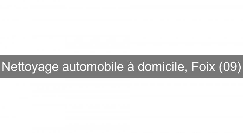 Nettoyage automobile à domicile, Foix (09) Nettoyage automobile à domicile, Foix (09)