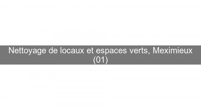 Nettoyage de locaux et espaces verts, Meximieux (01) Nettoyage de locaux et espaces verts, Meximieux (01)