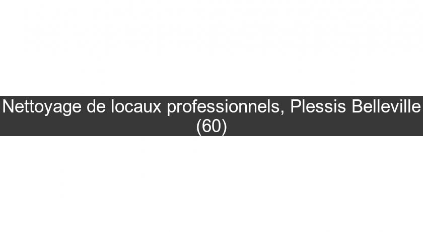 Nettoyage de locaux professionnels, Plessis Belleville (60)