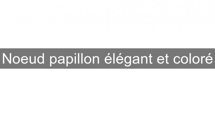 Noeud papillon élégant et coloré Noeud papillon élégant et coloré