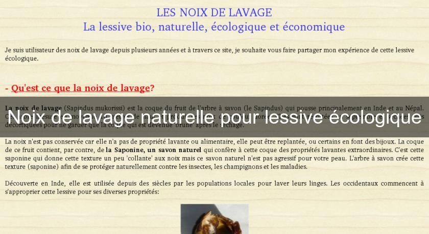Noix de lavage naturelle pour lessive écologique Noix de lavage naturelle pour lessive écologique