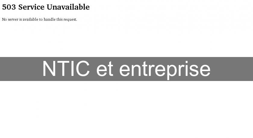 NTIC et entreprise NTIC et entreprise