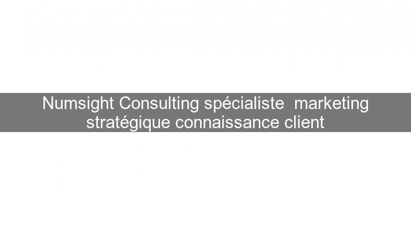 Numsight Consulting spécialiste  marketing stratégique connaissance client