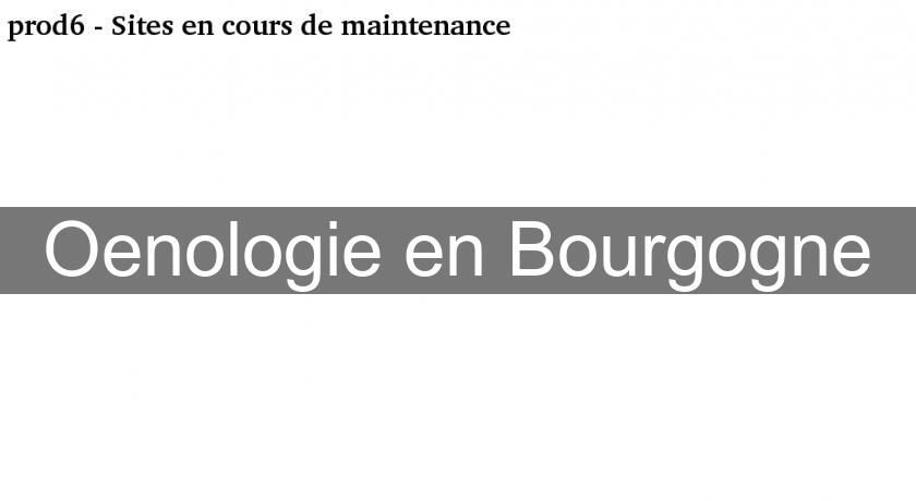 Oenologie en Bourgogne Oenologie en Bourgogne