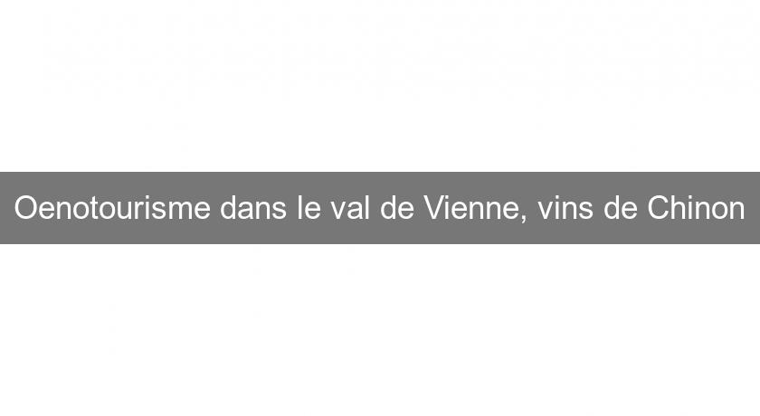 Oenotourisme dans le val de Vienne, vins de Chinon