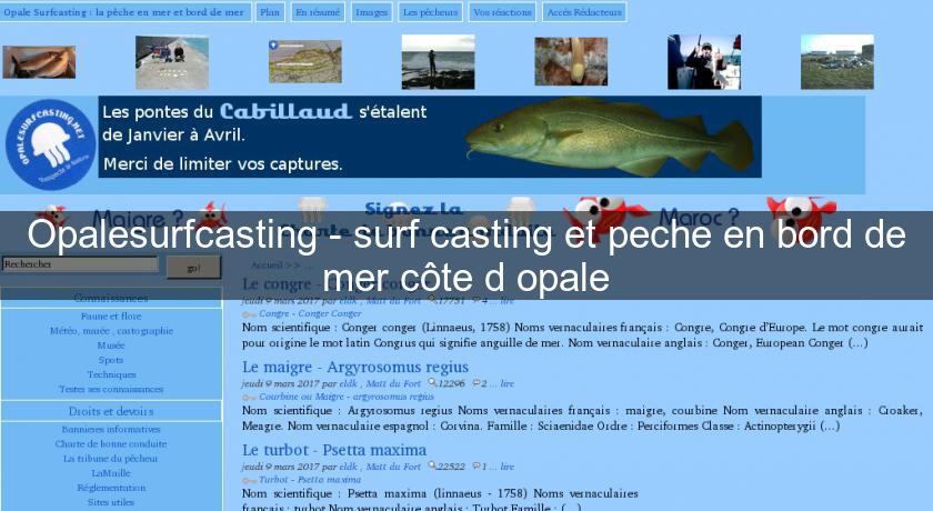 Opalesurfcasting - surf casting et peche en bord de mer côte d'opale