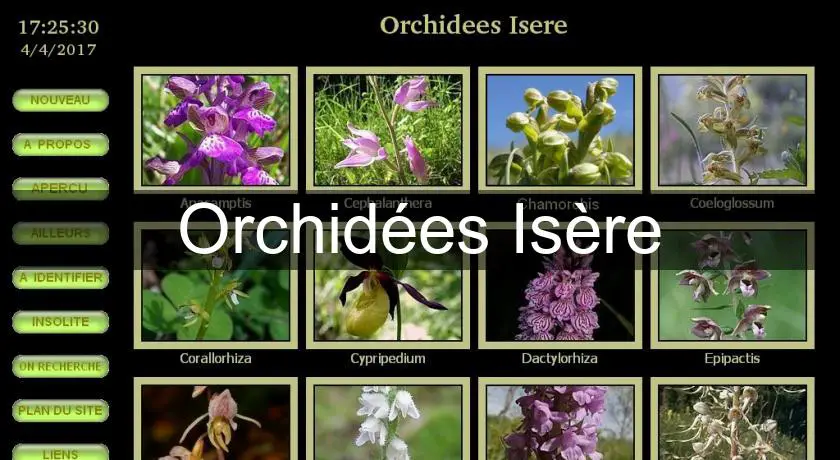 Orchidées Isère