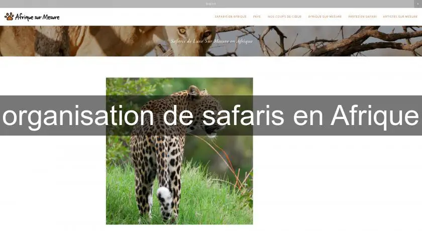 organisation de safaris en Afrique