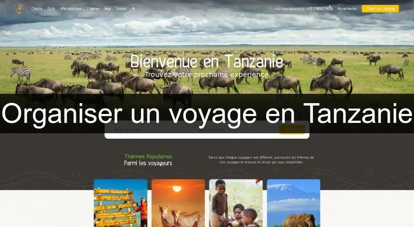 Organiser un voyage en Tanzanie