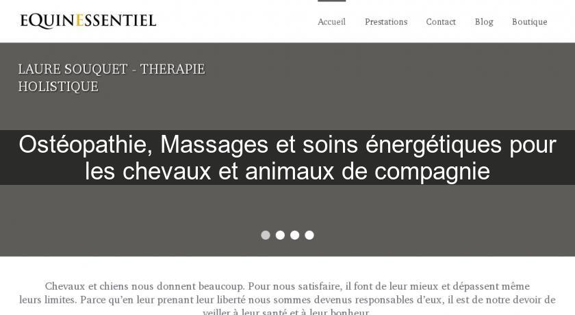 Ostéopathie, Massages et soins énergétiques pour les chevaux et animaux de compagnie