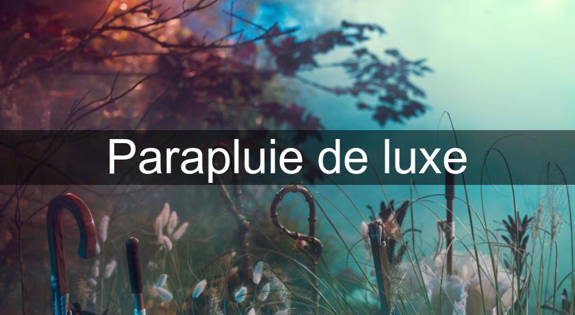 Parapluie de luxe