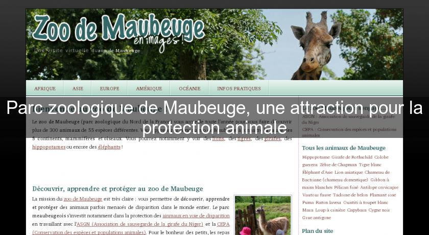 Parc zoologique de Maubeuge, une attraction pour la protection animale Parc zoologique de Maubeuge, une attraction pour la protection animale