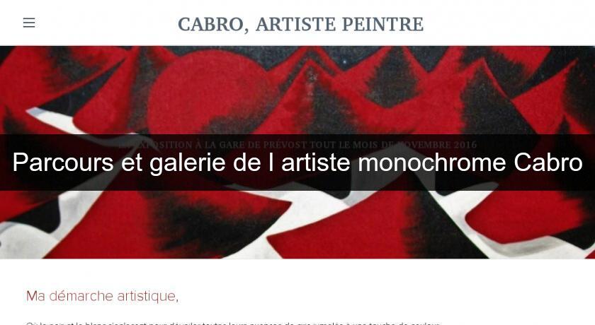 Parcours et galerie de l'artiste monochrome Cabro Parcours et galerie de l'artiste monochrome Cabro