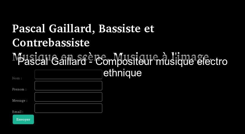 Pascal Gaillard - Compositeur musique electro ethnique