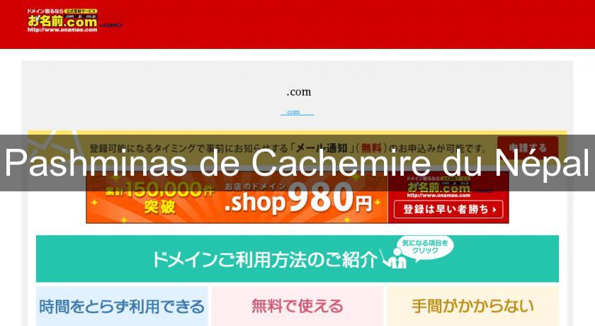 Pashminas de Cachemire du Népal Pashminas de Cachemire du Népal