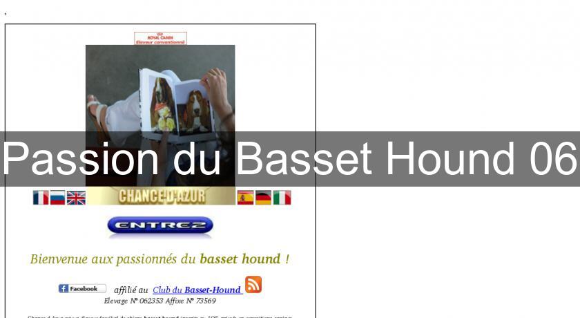 Passion du Basset Hound 06 Passion du Basset Hound 06