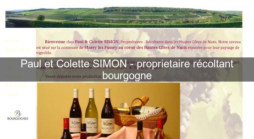 Paul et Colette SIMON - proprietaire récoltant bourgogne Paul et Colette SIMON - proprietaire récoltant bourgogne