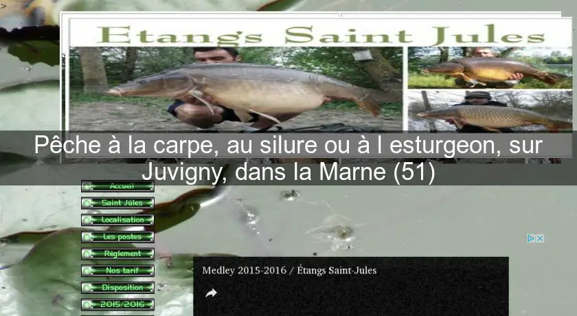 Pêche à la carpe, au silure ou à l'esturgeon, sur Juvigny, dans la Marne (51)