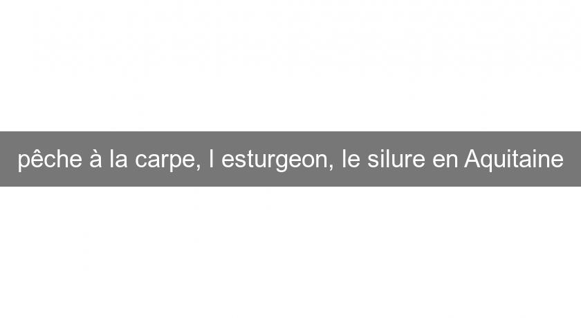 pêche à la carpe, l'esturgeon, le silure en Aquitaine