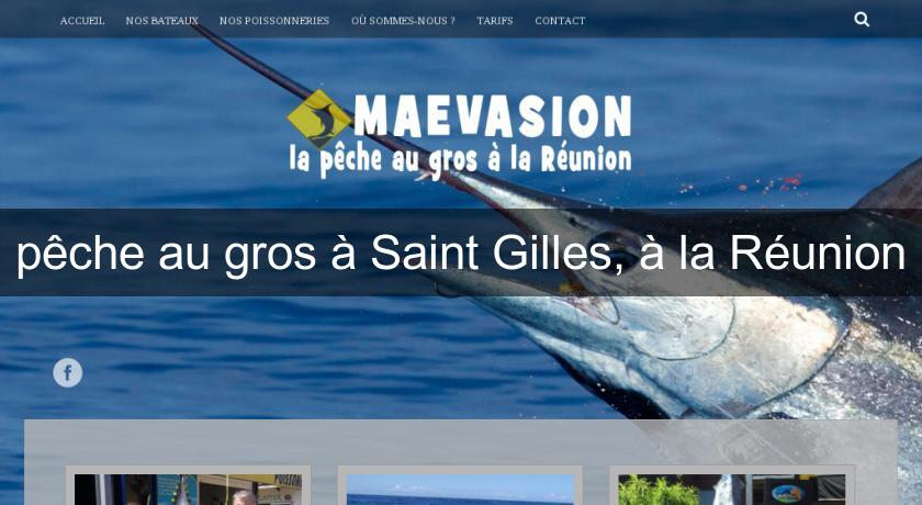 pêche au gros à Saint Gilles, à la Réunion pêche au gros à Saint Gilles, à la Réunion