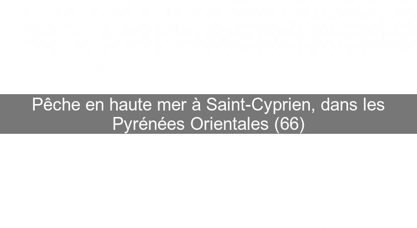 Pêche en haute mer à Saint-Cyprien, dans les Pyrénées Orientales (66)