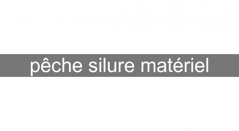 pêche silure matériel