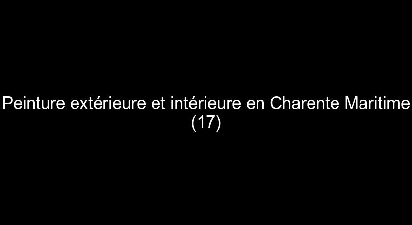 Peinture extérieure et intérieure en Charente Maritime (17)