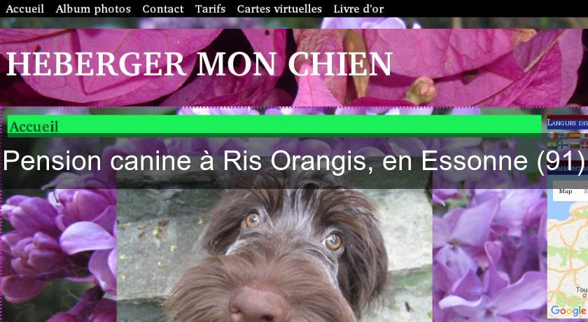 Pension canine à Ris Orangis, en Essonne (91) Pension canine à Ris Orangis, en Essonne (91)