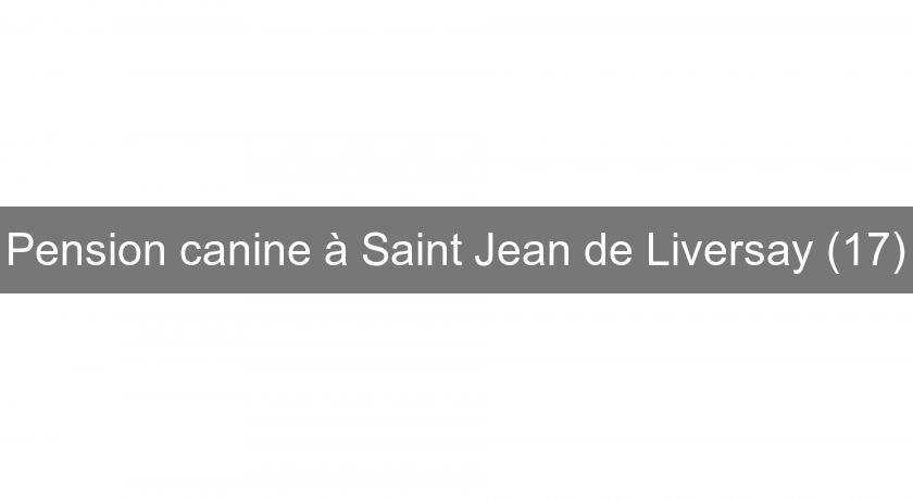 Pension canine à Saint Jean de Liversay (17)