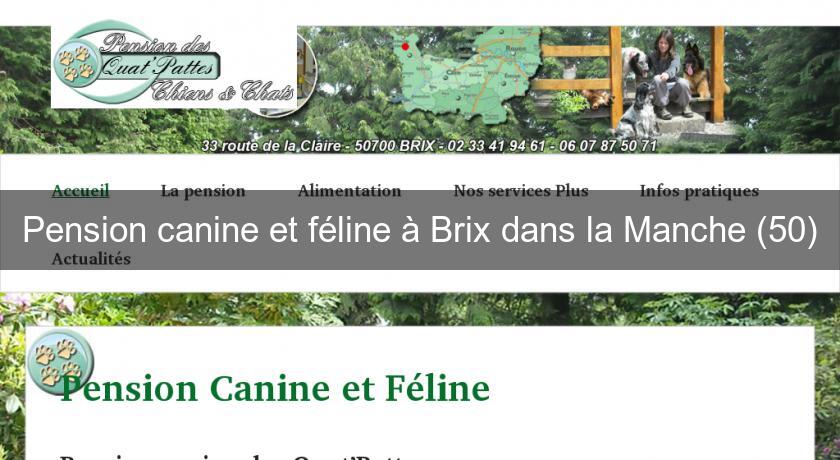 Pension canine et féline à Brix dans la Manche (50) Pension canine et féline à Brix dans la Manche (50)