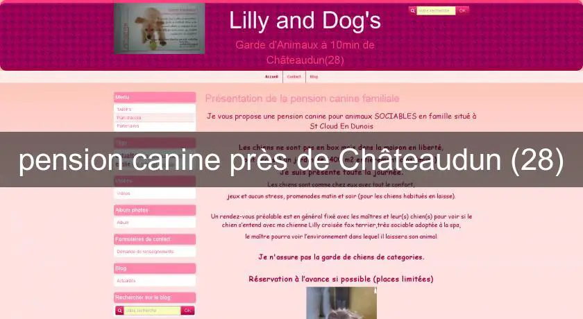 pension canine près de Châteaudun (28)