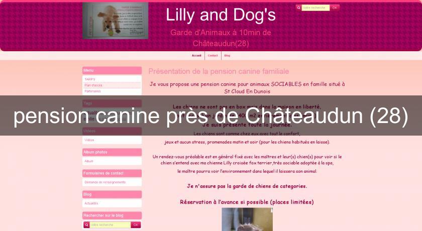 pension canine près de Châteaudun (28) pension canine près de Châteaudun (28)