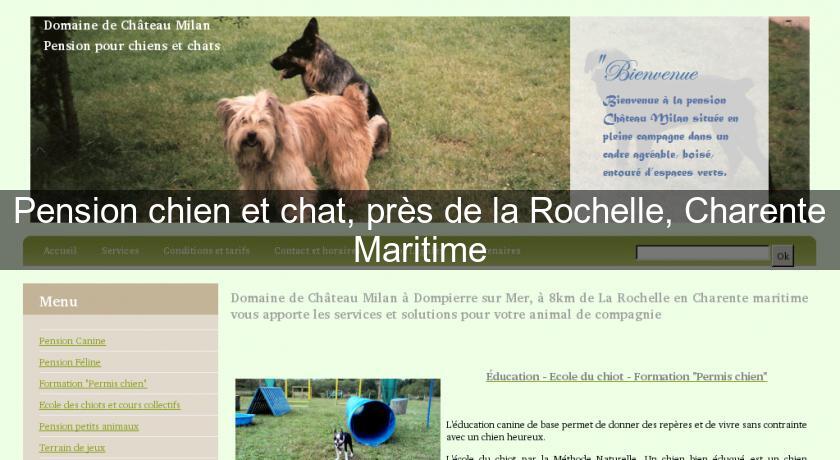 Pension chien et chat, près de la Rochelle, Charente Maritime Pension chien et chat, près de la Rochelle, Charente Maritime