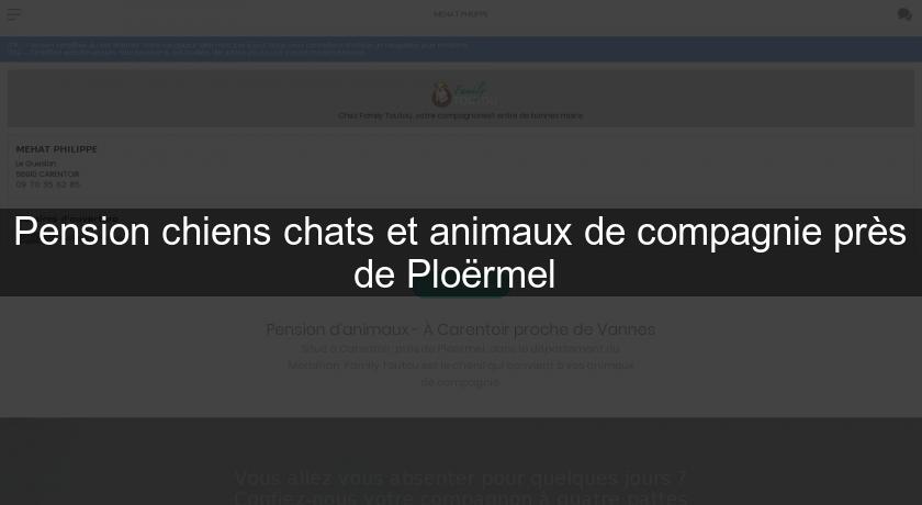 Pension chiens chats et animaux de compagnie près de Ploërmel Pension chiens chats et animaux de compagnie près de Ploërmel