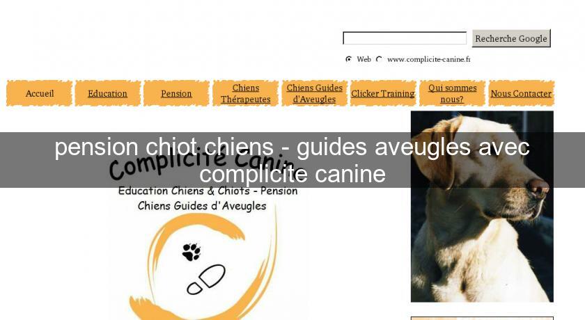 pension chiot chiens - guides aveugles avec complicite canine