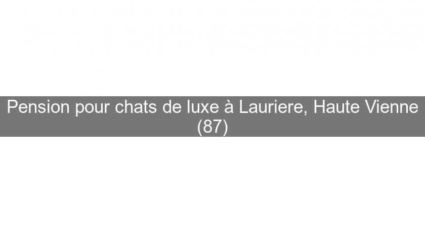 Pension pour chats de luxe à Lauriere, Haute Vienne (87)