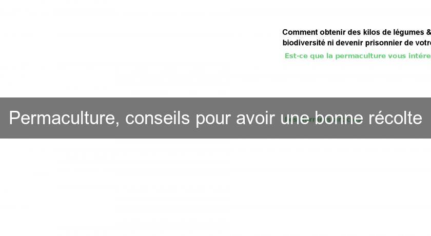 Permaculture, conseils pour avoir une bonne récolte Permaculture, conseils pour avoir une bonne récolte