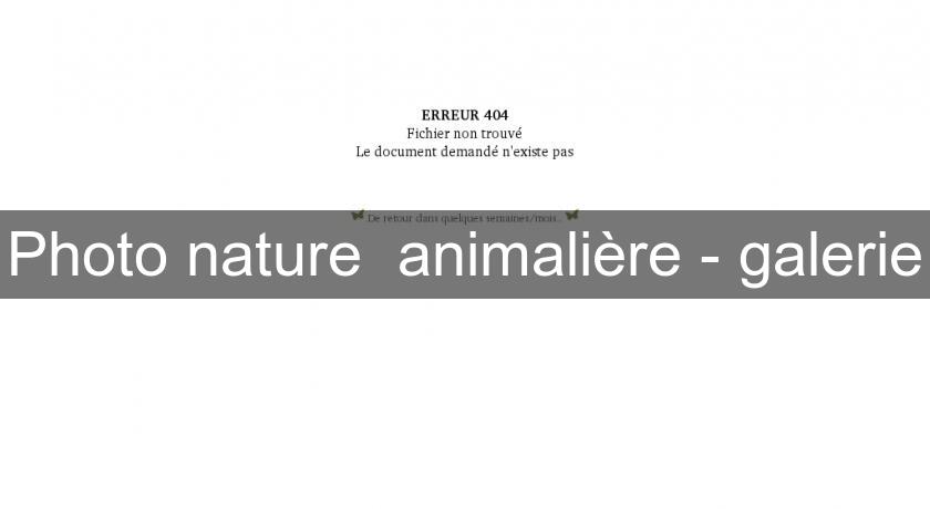 Photo nature animalière - galerie Photo nature animalière - galerie