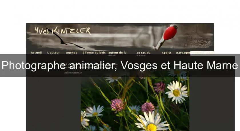 Photographe animalier, Vosges et Haute Marne