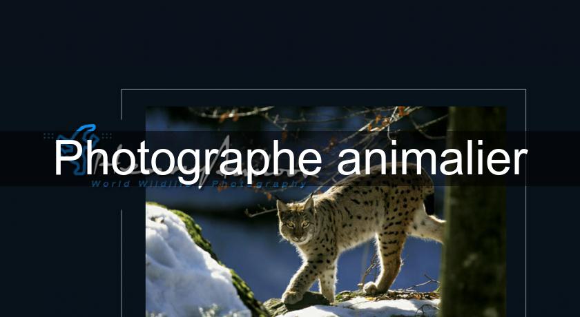 Photographe animalier