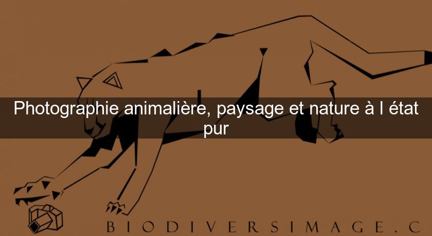 Photographie animalière, paysage et nature à l'état pur Photographie animalière, paysage et nature à l'état pur
