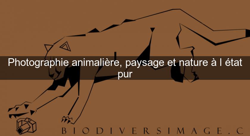 Photographie animalière, paysage et nature à l'état pur