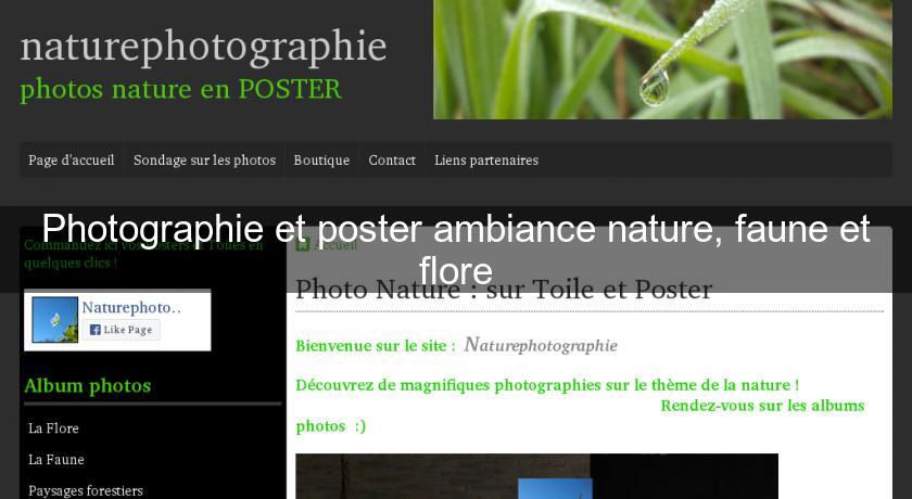 Photographie et poster ambiance nature, faune et flore