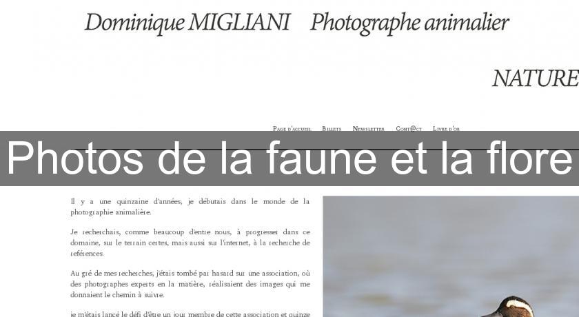 Photos de la faune et la flore Photos de la faune et la flore