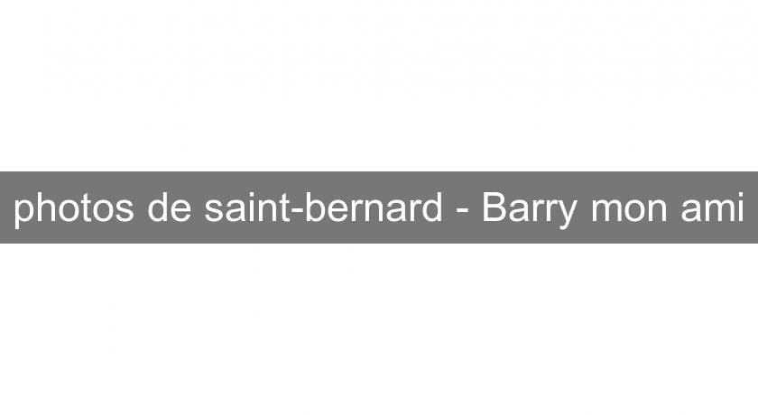 photos de saint-bernard - Barry mon ami photos de saint-bernard - Barry mon ami