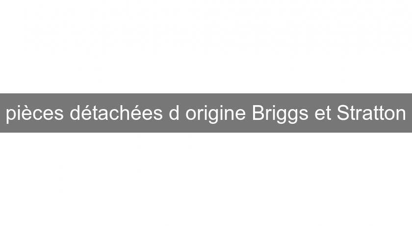 pièces détachées d'origine Briggs et Stratton