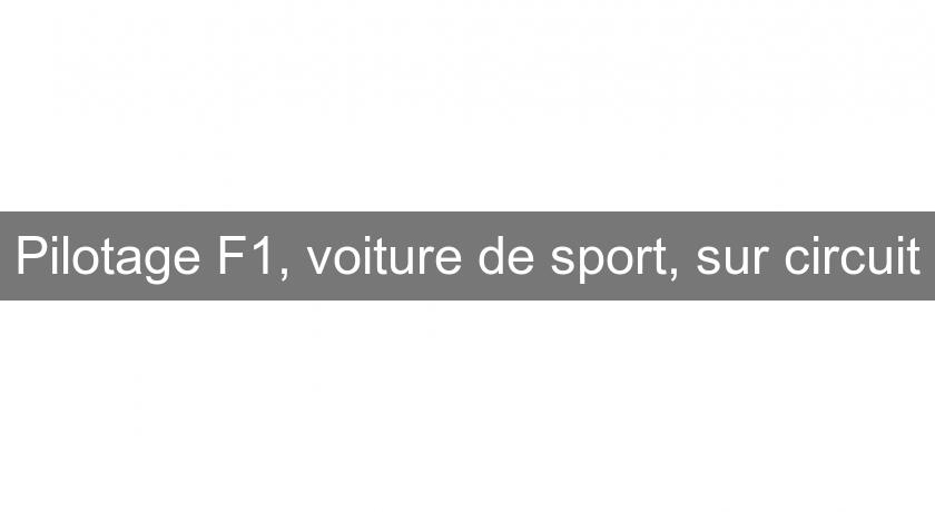 Pilotage F1, voiture de sport, sur circuit