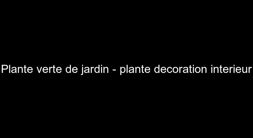 Plante verte de jardin - plante decoration interieur Plante verte de jardin - plante decoration interieur