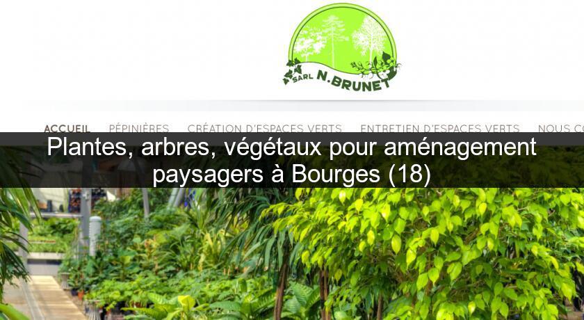 Plantes, arbres, végétaux pour aménagement paysagers à Bourges (18) Plantes, arbres, végétaux pour aménagement paysagers à Bourges (18)
