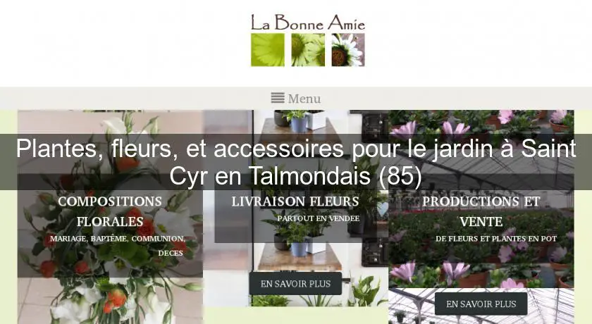 Plantes, fleurs, et accessoires pour le jardin à Saint Cyr en Talmondais (85)